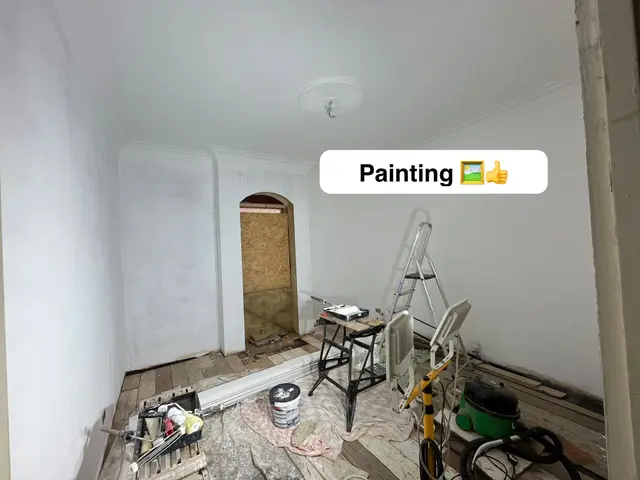 Room painting — walls and ceiling freshly painted